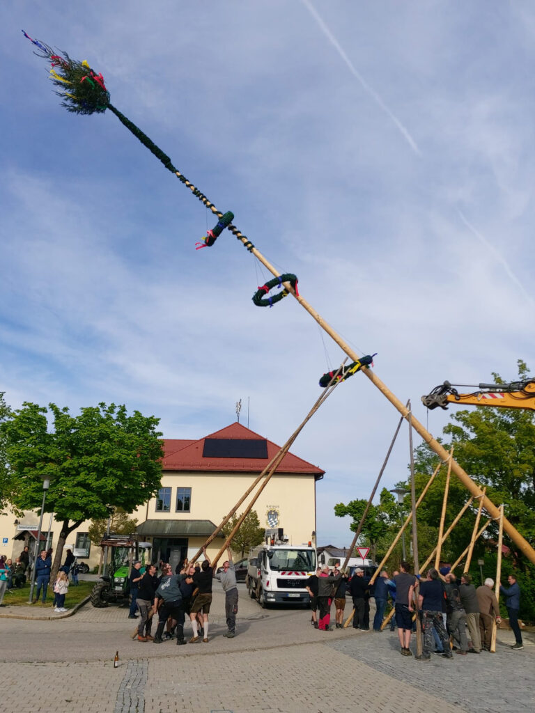 Simbacher Maibaum steht wieder
